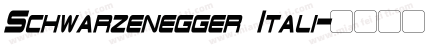 Schwarzenegger Itali字体转换